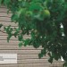 Сайдинг Ю-Пласт TIMBERBLOCK Пихта (Тимберблок) Cахалинская купить в Владивостоке
