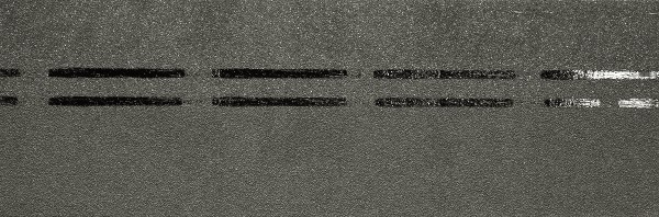 Коньково-карнизная черепица Docke Premium, авокадо купить в Владивостоке