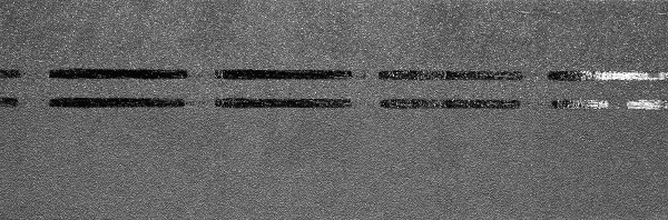 Коньково-карнизная черепица Docke Premium, черника купить в Владивостоке