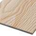 Фиброцементные панели FCSPRO Decor Wood Лиственница купить в Владивостоке